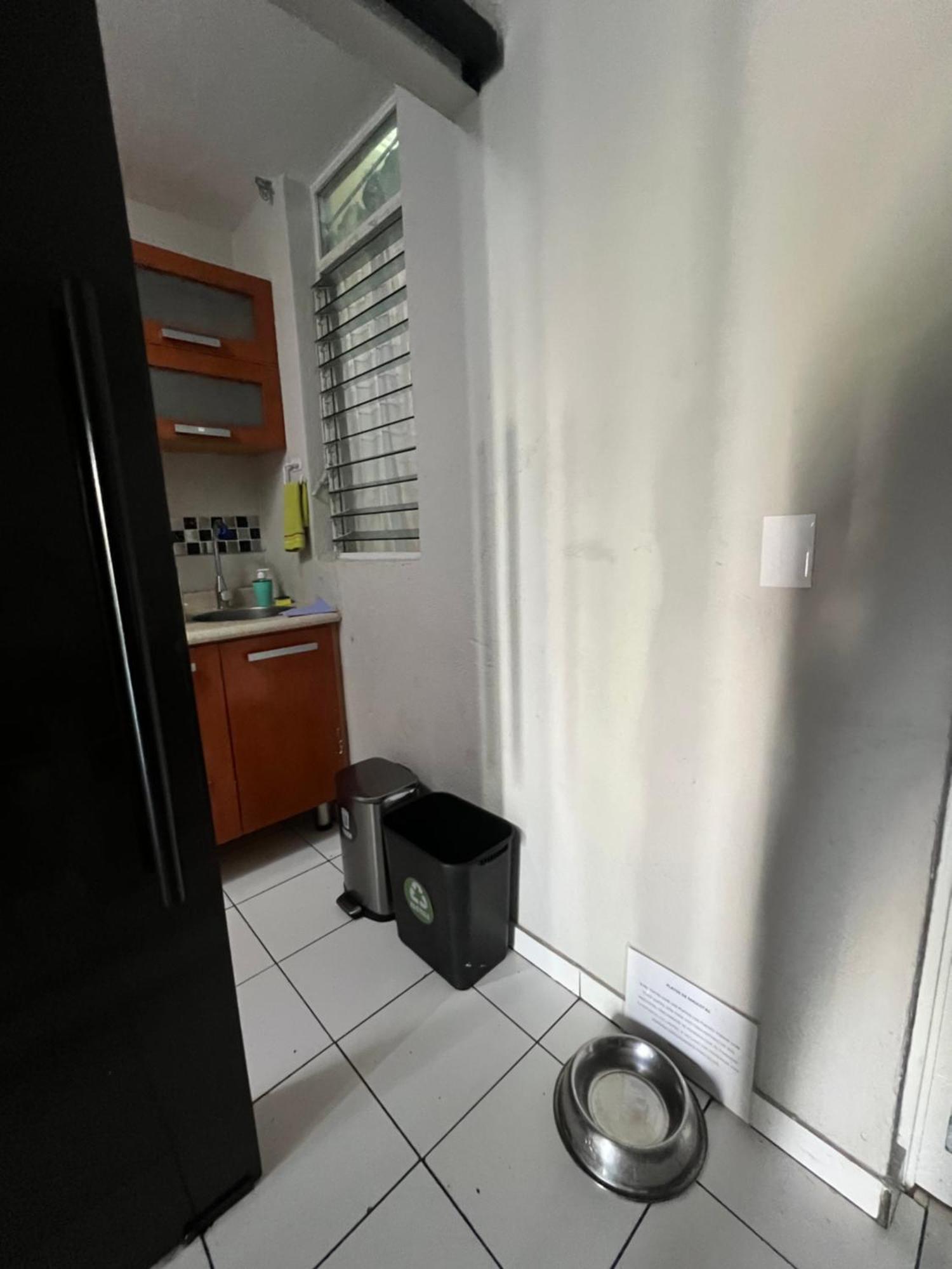 Casa Petfriendly Bosque De La Primavera グアダラハラ エクステリア 写真